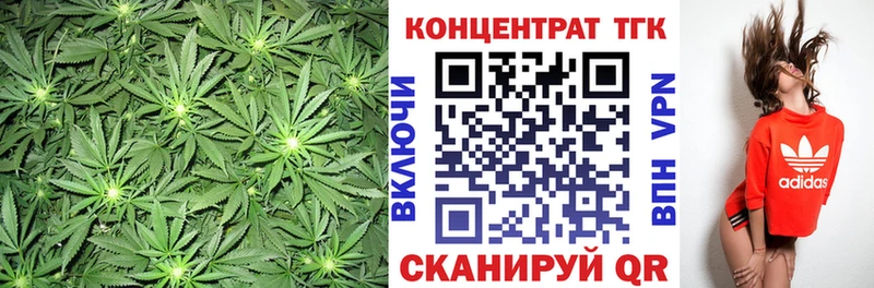 ТГК Wax  Чудово 