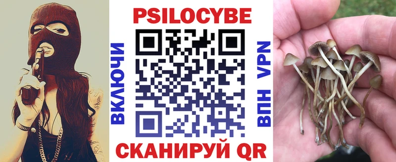 Псилоцибиновые грибы GOLDEN TEACHER  Чудово 